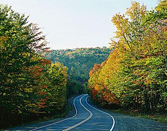 《无敌大猫》Steam页面上线 支持简体中文